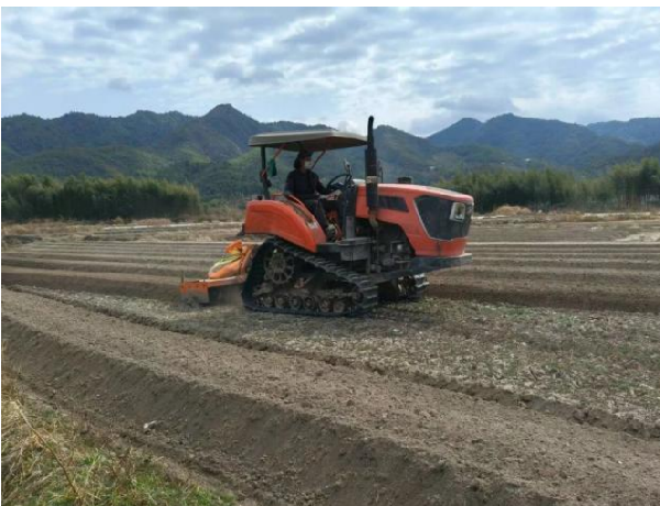 Les semailles de printemps portent l'espoir, la terre retrouve sa vitalité.